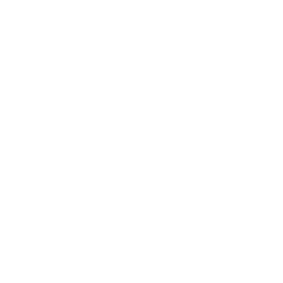 Estabilización de columna